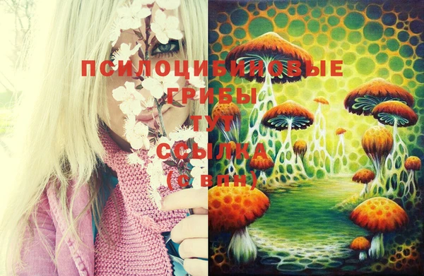 дмт Белоозёрский