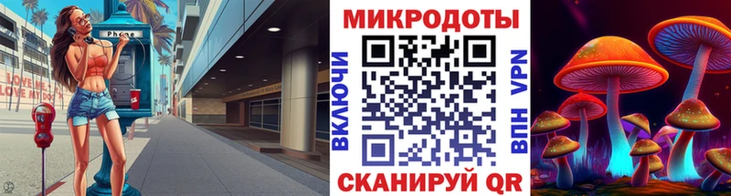 Галлюциногенные грибы Psilocybe  наркотики  Дигора 